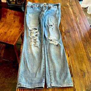 Sneakpeek Straight Ankle Jeans